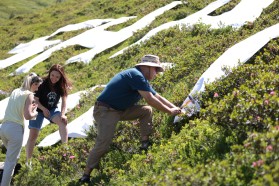 Activists at work placing the letters along the mountain slope.